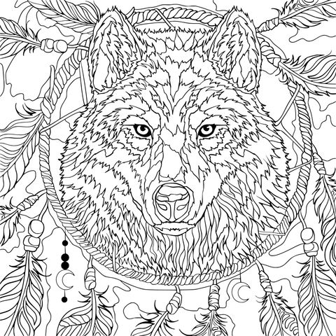 Dream - Catcher and Wolf Coloring Page