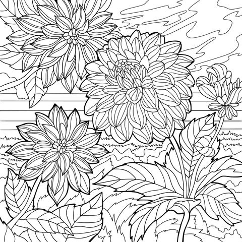 Colorful Flower Coloring Page