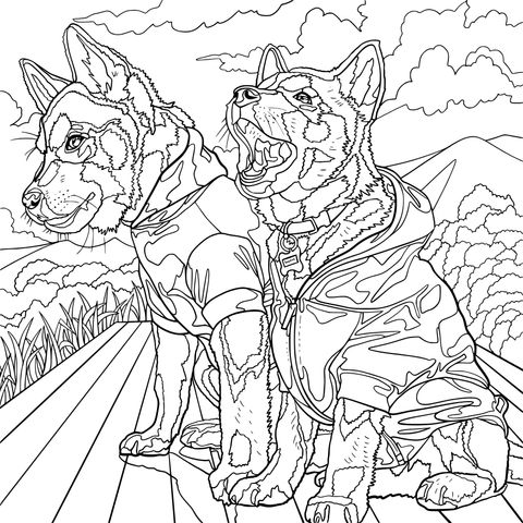 Coloring Page of Two Dogs Wearing Clothes