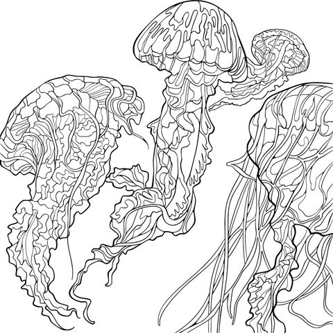 Dreamy Jellyfish Coloring Page