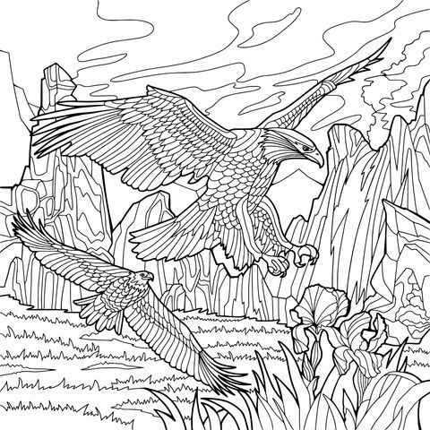 Coloring Page of Two Eagles Soaring in Natural Scenery