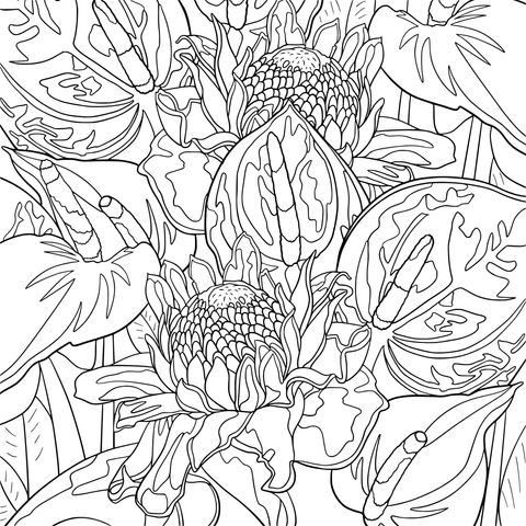 Flower Coloring Page: Colorful Flower Patterns