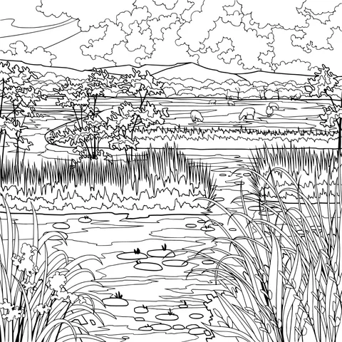 Riverside Rural Scenery