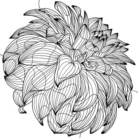 Vibrant Dahlia Coloring Page