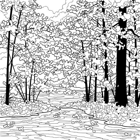 Autumn Forest Landscape Coloring Page