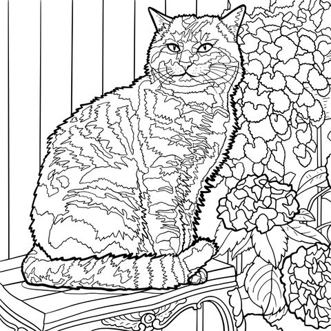 Adorable Tabby Cat Coloring Page