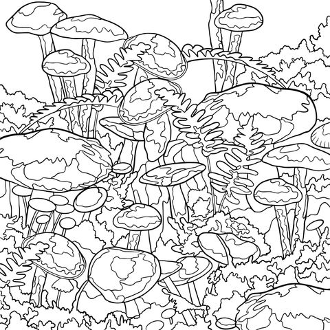 Colorful Mushroom Jungle