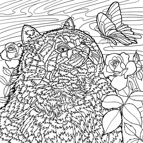 Cat and Butterfly Coloring Page