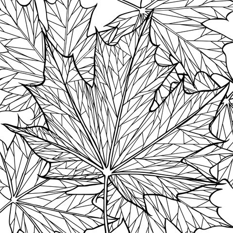 Colorful Maple Leaf Pattern