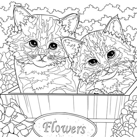 Two Kittens in the Flowers