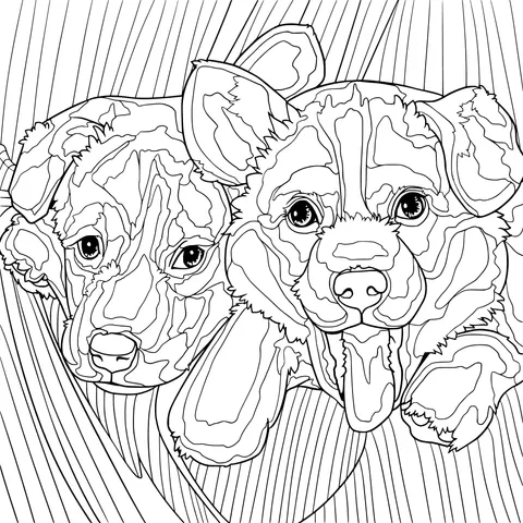 Two Adorable Puppies