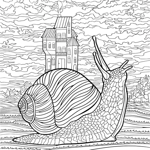 Snail and the Distant House
