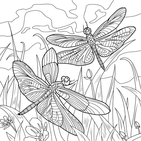 Color - winged Dragonflies on the Grass