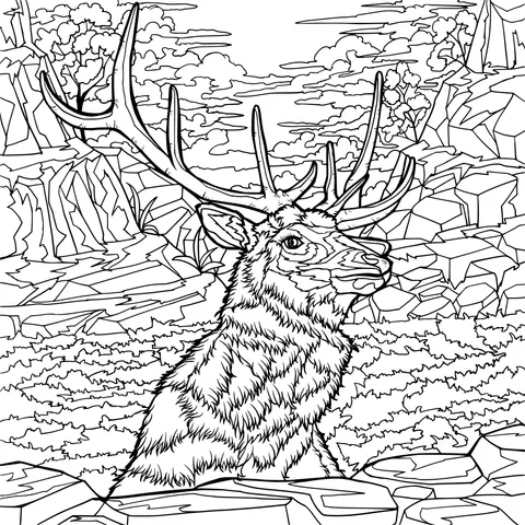 Elk in the Mountains