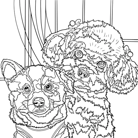 Two cute pet dogs