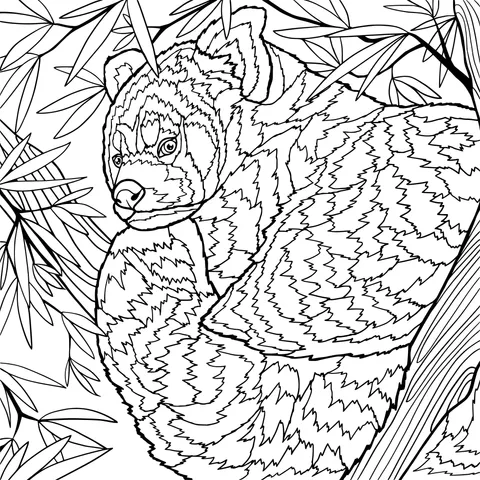 Red panda perched among branches