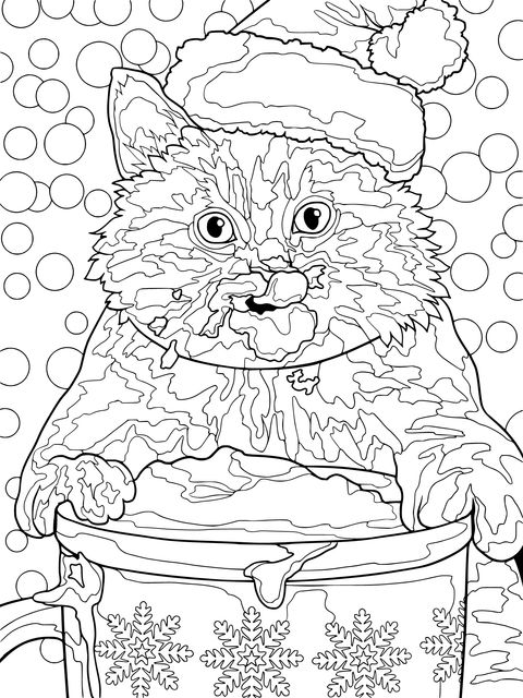 サンタ帽を被ってクリームをなめる猫