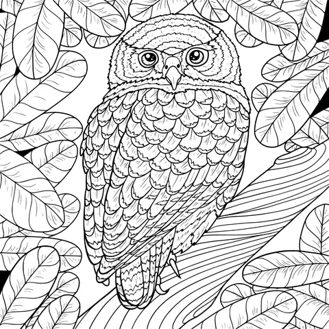 Owl Perched on a Branch