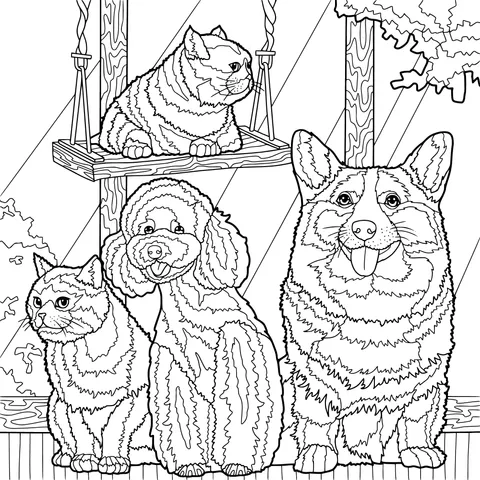 Cute Pets