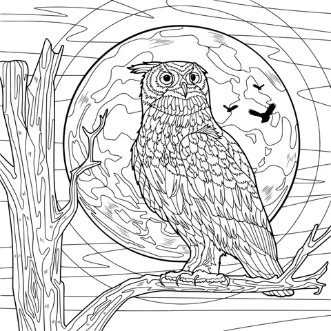 Owl in the Moon - lit Night