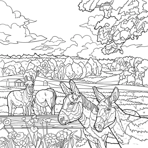 Donkeys in the Field