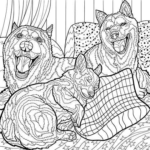 Dogs' Cozy Time