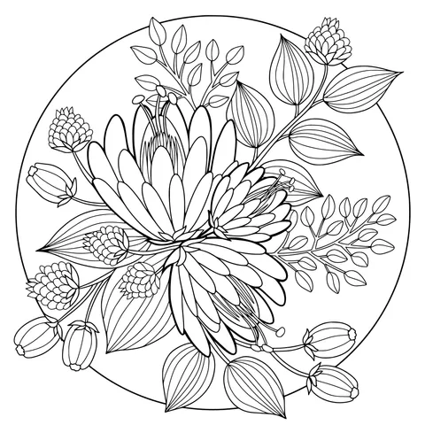 Round floral illustration