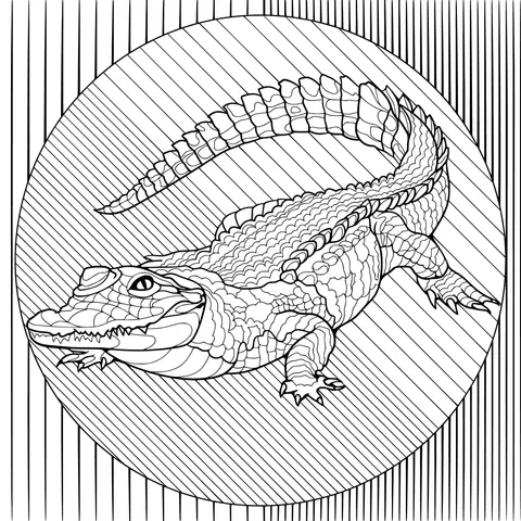 Cartoon Crocodile in a Circular Background