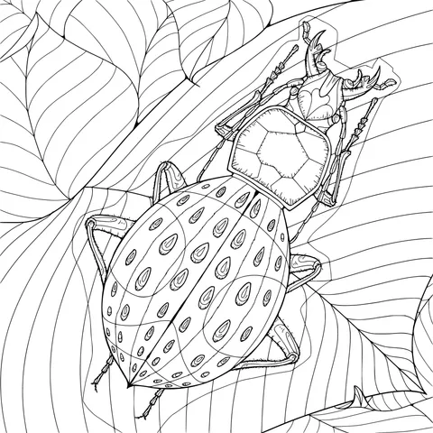 Colorful Beetle and Green Leaves