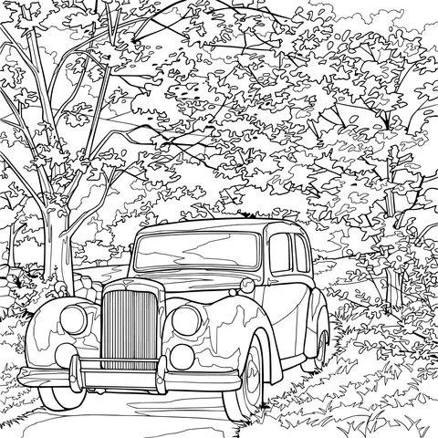 Vintage Car on a Woodland Path