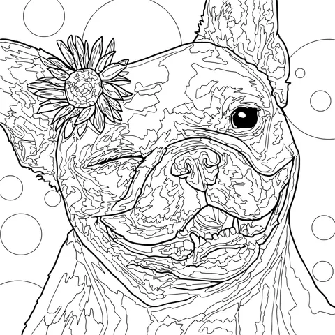 A Playful French Bulldog with a Sunflower