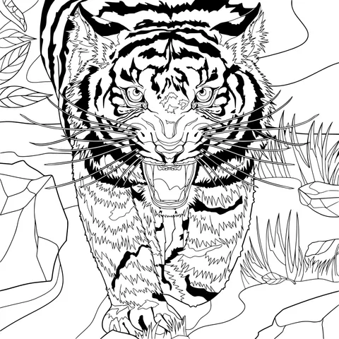 Roaring Tiger
