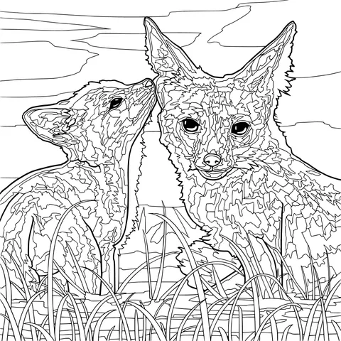 Mother and cub foxes on the grass