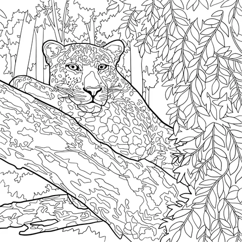 Leopard Perched on a Branch