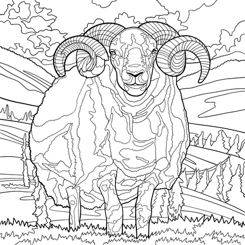Bighorn Sheep on the Prairie