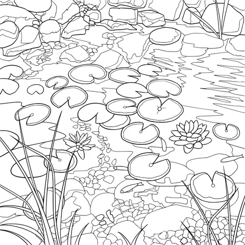 Lotus Pond Scene