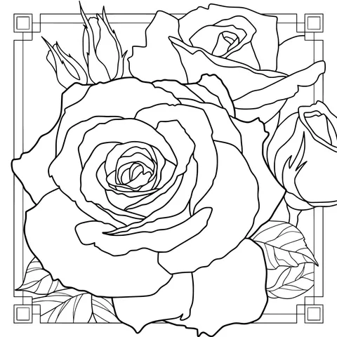 Exquisite Pink Rose Illustration