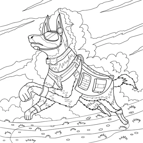 Running Equipped Dog