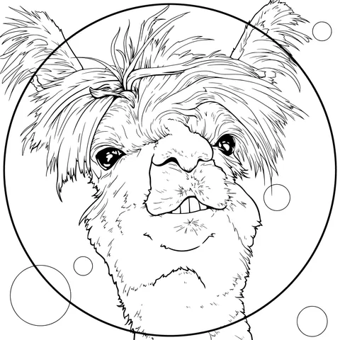 Alpaca in Bubbles
