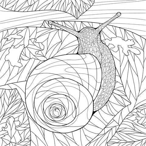 Snail on Green Leaves