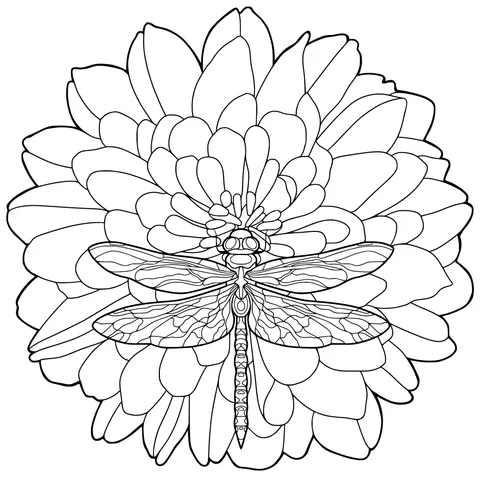 Libélula sobre Flor