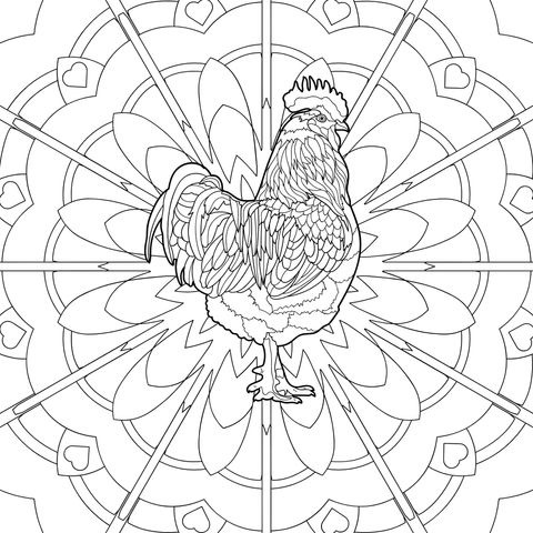 曼陀罗公鸡