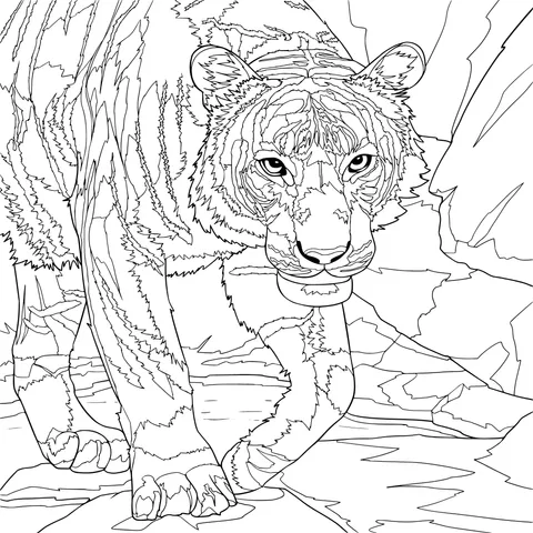Walking Tiger
