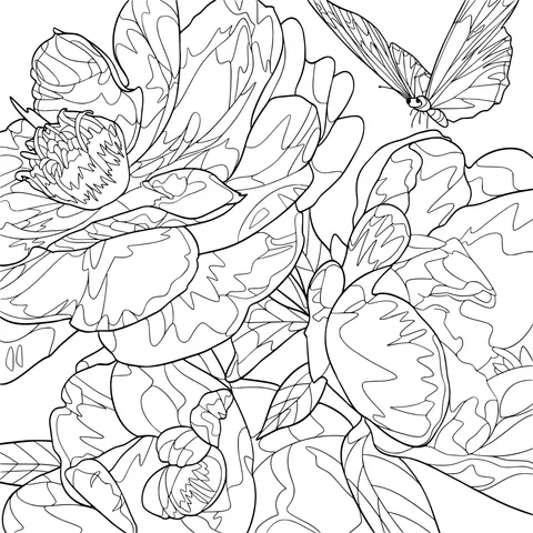 Flowers and Butterfly
