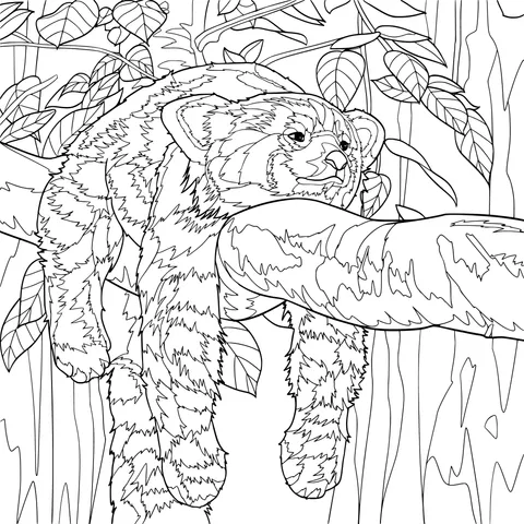 Red panda lying on a branch
