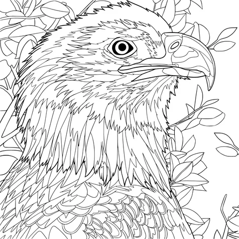 Bald Eagle Headshot