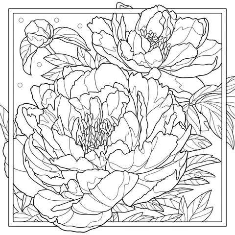 Gorgeous Peony Illustration