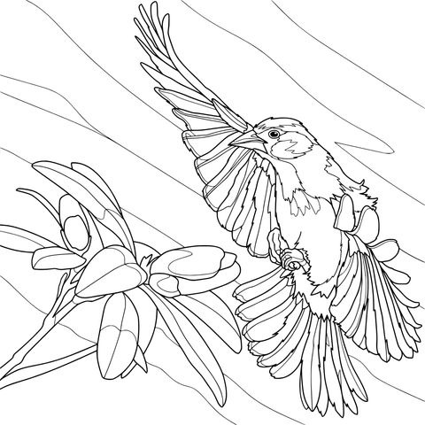 飞鸟与花