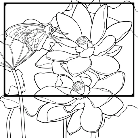 Butterfly Playing with Lotus Flowers