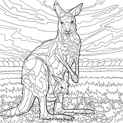 Mother - kangaroo and joey in the field